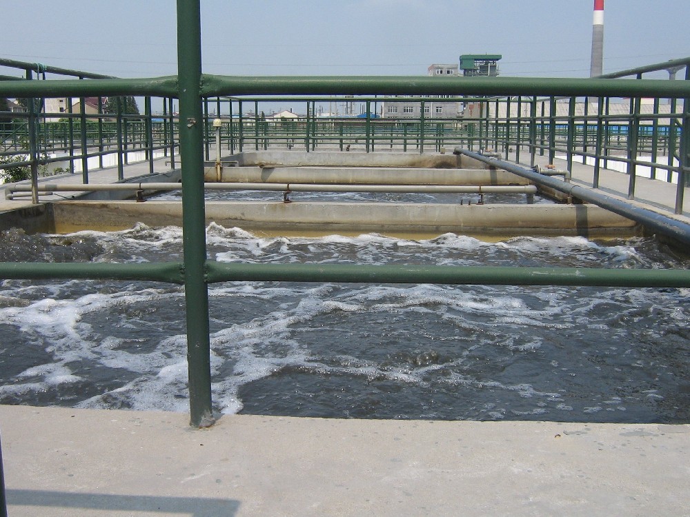 屠宰厂废水处理-山东东营项目